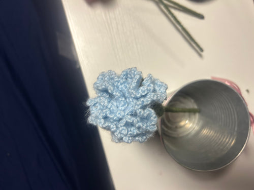 Blue carnations