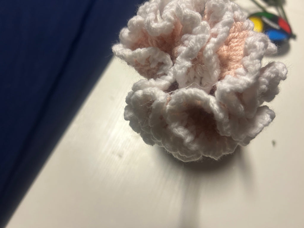 Pike and white carnation flower