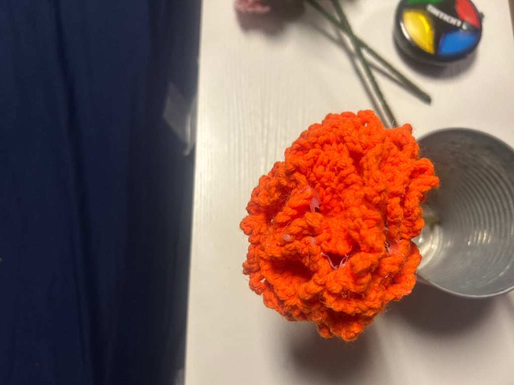 Orange carnations