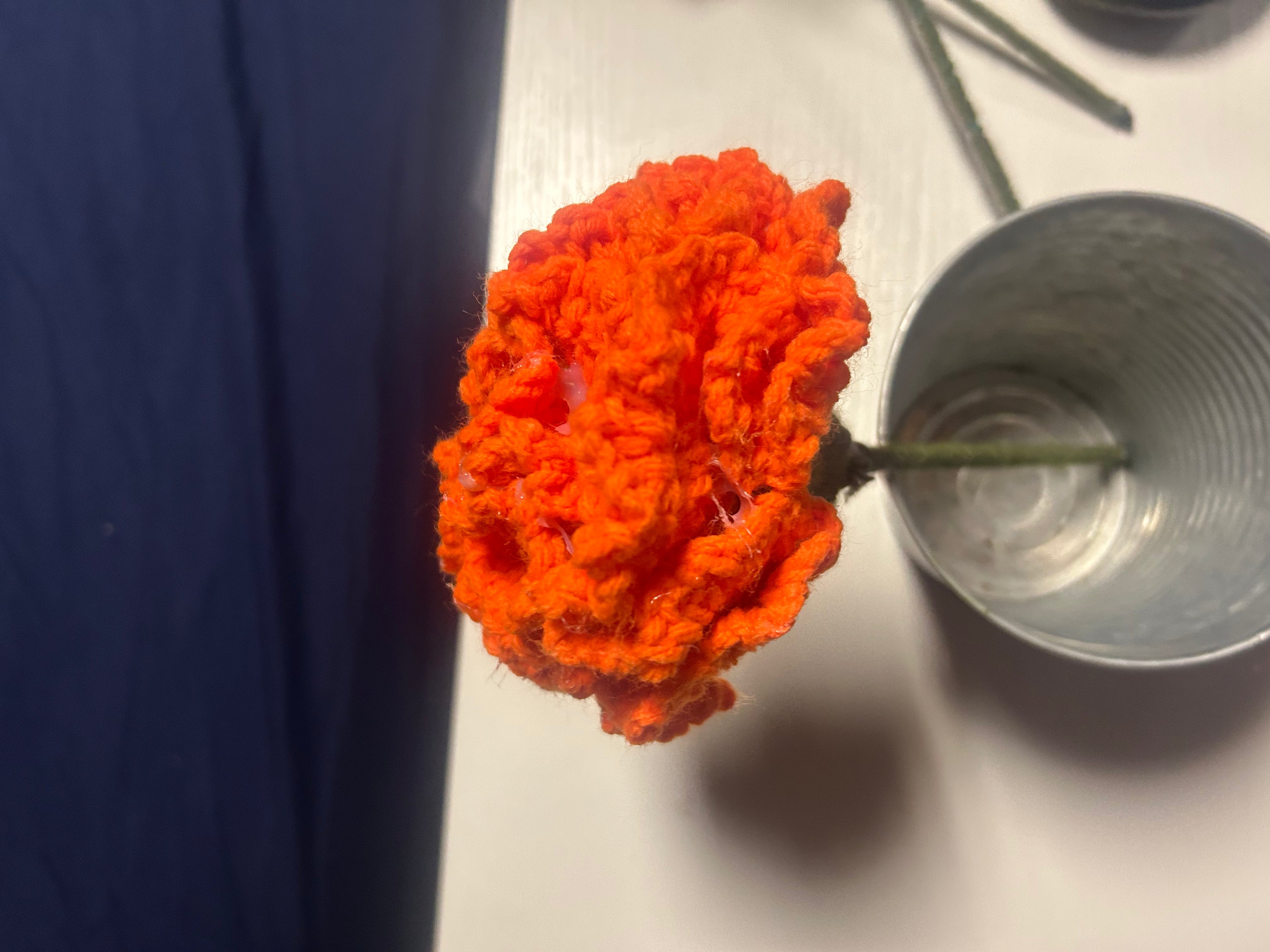 Orange carnations